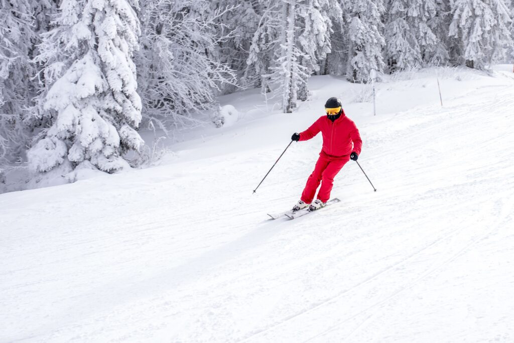 skier ina red costume skiing down the slope near the trees